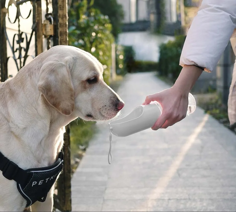 Xiaomi Pets сопроводительные чашки из водная напольная чашка портативная дорожная бутылка для воды чаша для собачьего питья фонтан