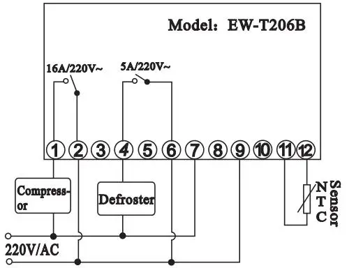 T206B