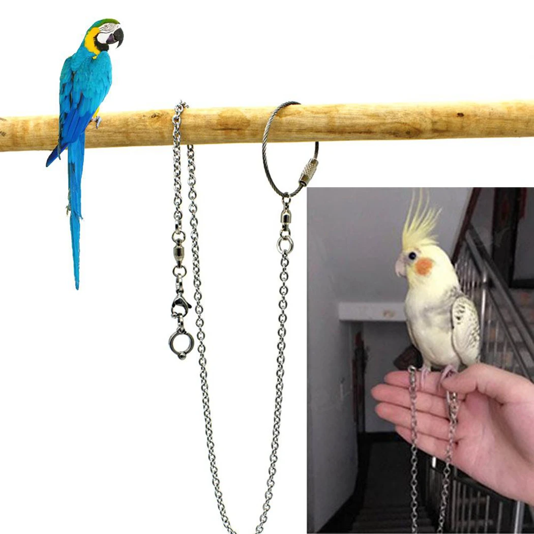 Soporte para pie de pájaro, cadena creativa de acero inoxidable para pie de loro, suministros para aves, cadena para pie, suministros para mascotas para loros