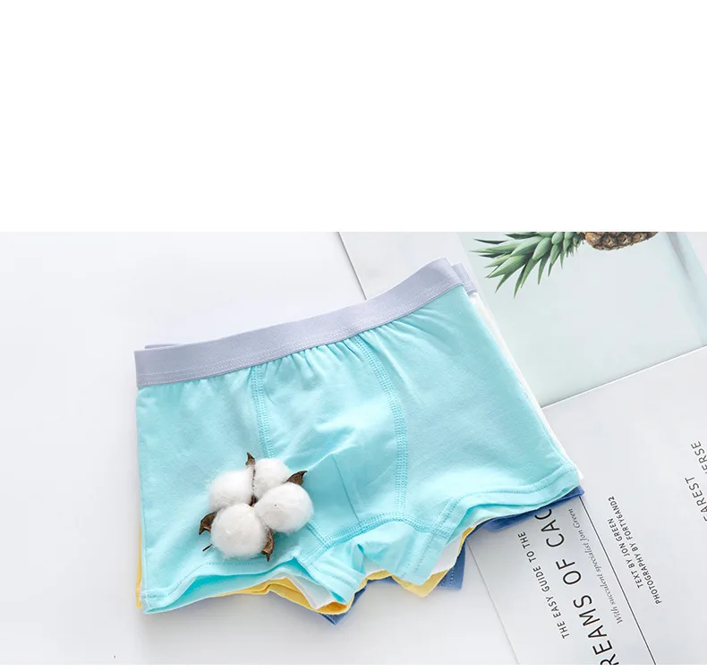 Roupa íntima infantil, cueca com estampa de