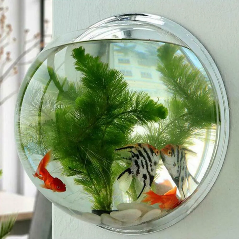 8 см полукруглая стеклянная ваза настенный Висячие емкости для гидропоники Террариум рыбные танки в горшках Свадебный декор растение цветочный горшок