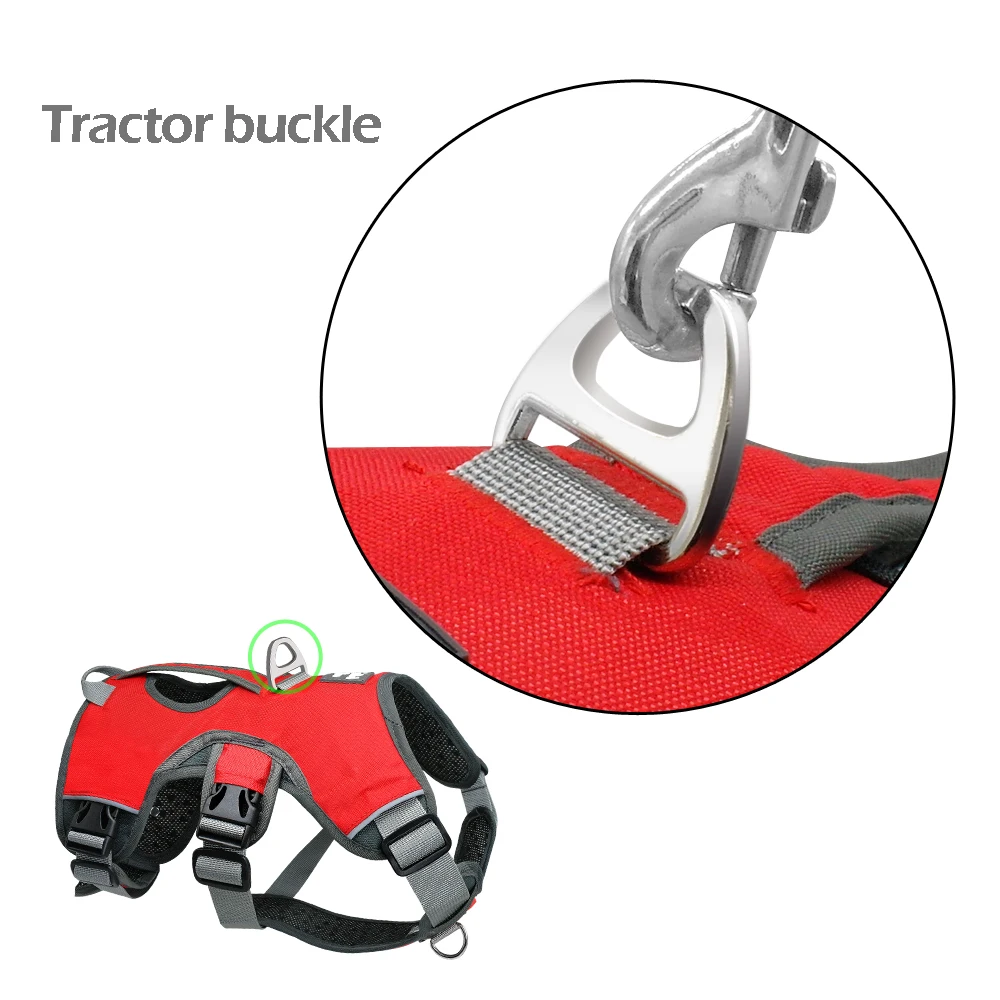 HTB1repKKeuSBuNjSsplq6ze8pXav