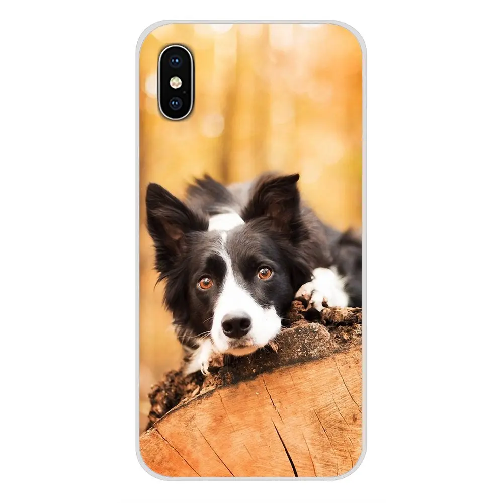 Мягкий чехол-сумка красивая бордюр колли щенок для huawei G7 G8 P7 P8 P9 P10 P20 P30 Lite Mini Pro P Smart Plus - Цвет: images 11