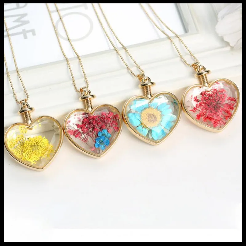 150N36 心形植物干花 1