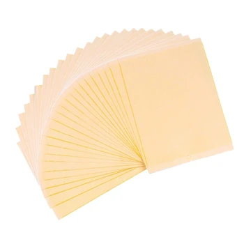 

50 Pack Dual Sticky Traps 6 x 8 Inch for Flying Plant Insect (Twist Ties Included)