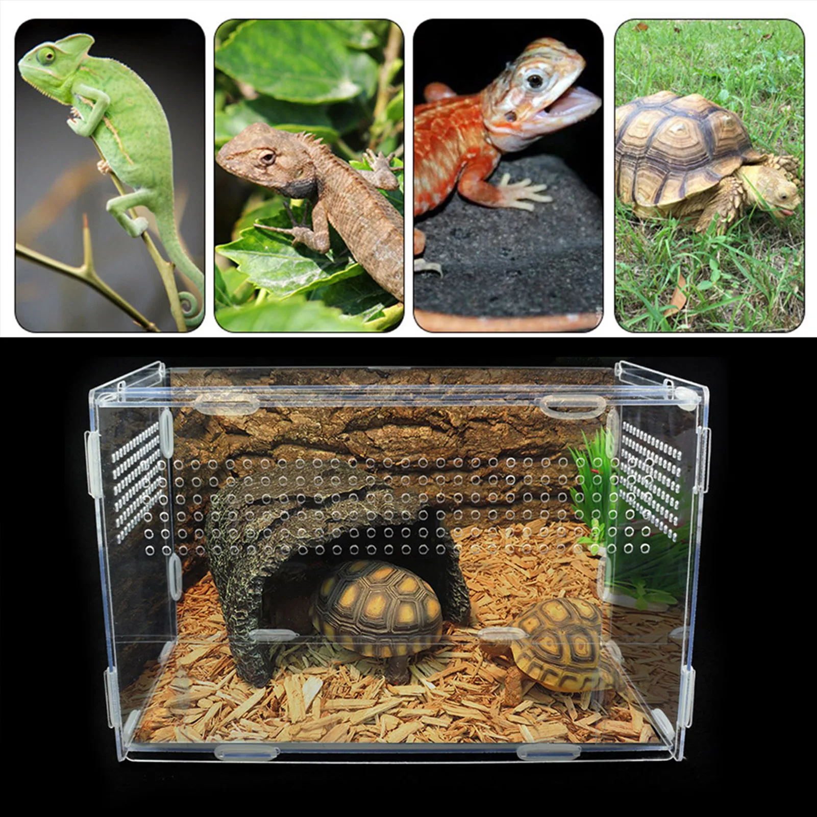 Reptile Breeding Box Acrylic Terrarium Feeding Box Transparent for Animals Reptile Pets Insect Spider Lizard Frog Cricket Turtle aquarium tank vivarium box
