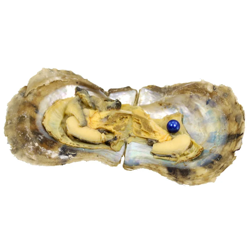 10 устриц сумка! Akoya Oyster с круглой жемчужиной внутри, одинарный жемчуг Oyster 6-8 мм Жемчуг в оболочке Oyster Mix Красный Зеленый Фиолетовый PB108