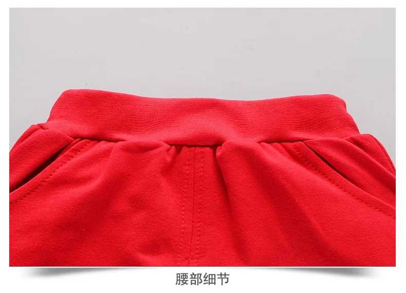 7493330536_1131451869