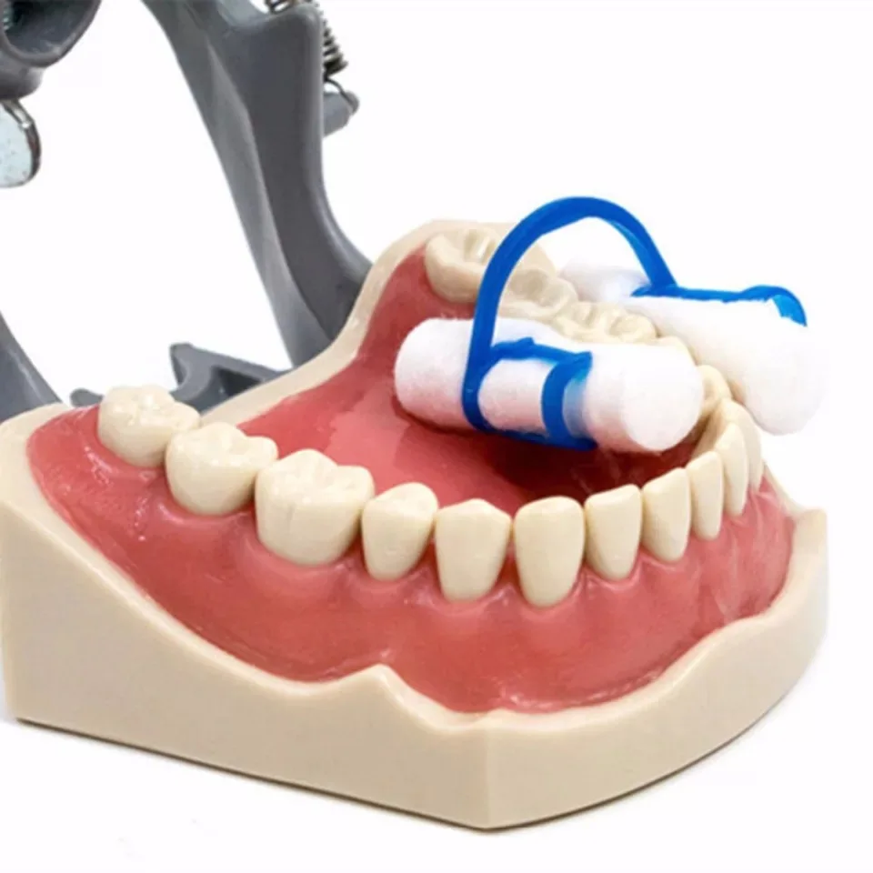 10541108113_711424217