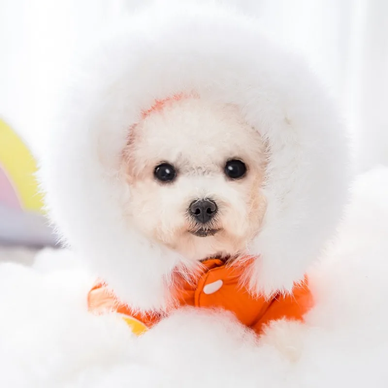 

Pet Autumn And Winter Two-legged Clothes Cartoon Little Mythical Animal Warmth Padded Coat