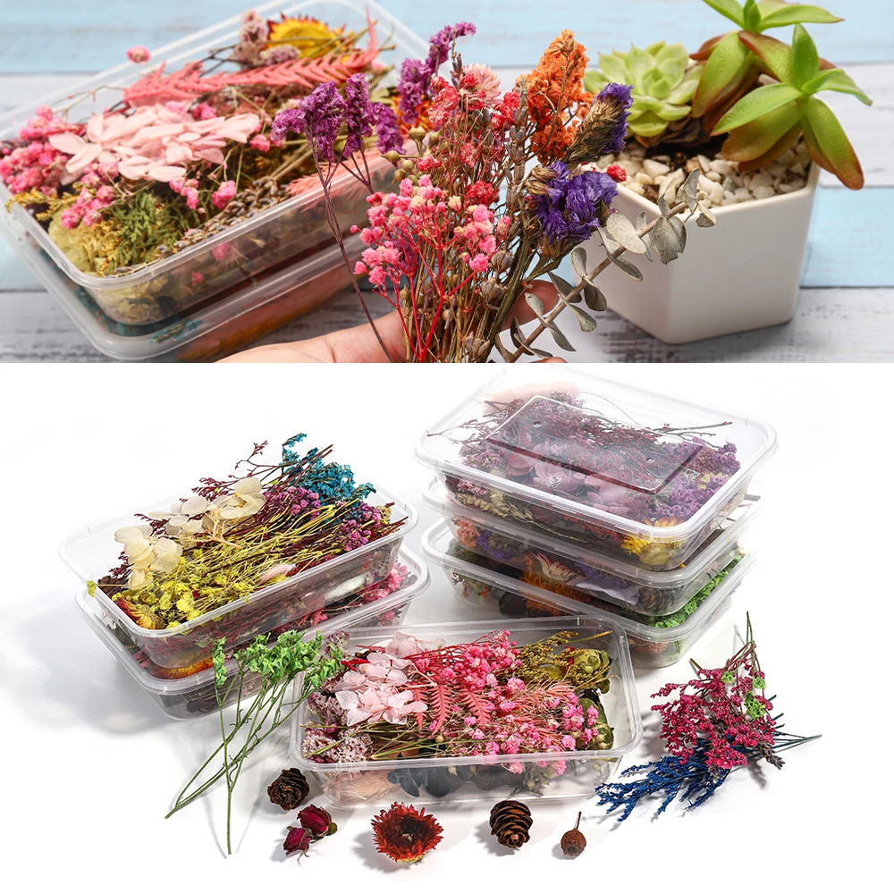 Colorful Real Dried Flower Plant For Aromatherapy Candle Resin Jewelry Making US 