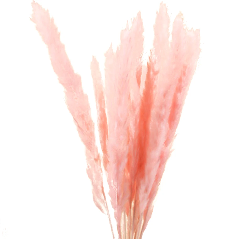 Розовый 15 шт. сушеные небольшие пампасы трава Phragmites украшения для домашнего магазина свадьбы P7Ding - Цвет: Розовый