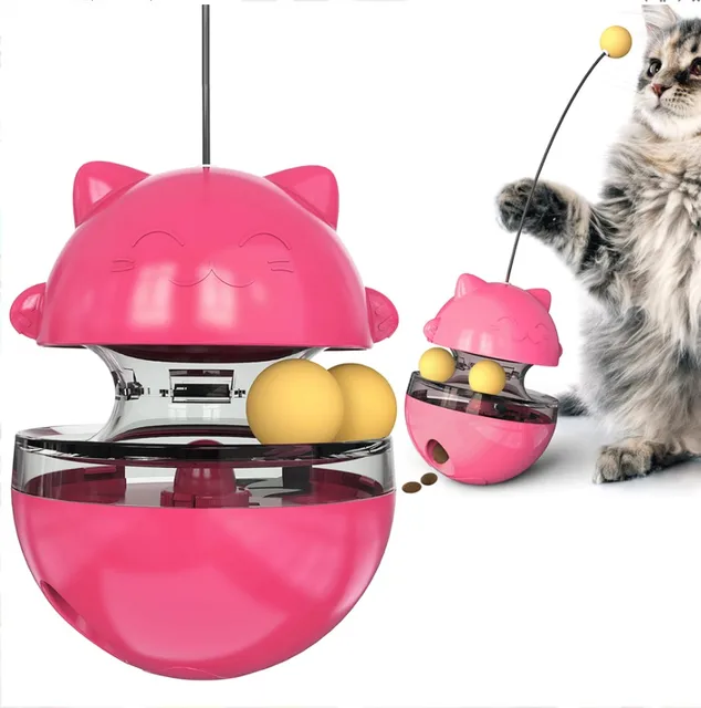 magic ball cat