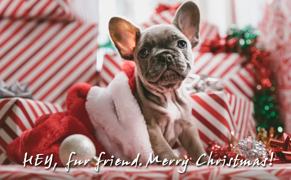 987f9643-c3f4-477b-ad2d-62c0e23d4da0.__CR0,0,970,600_PT0_SX970_V1___