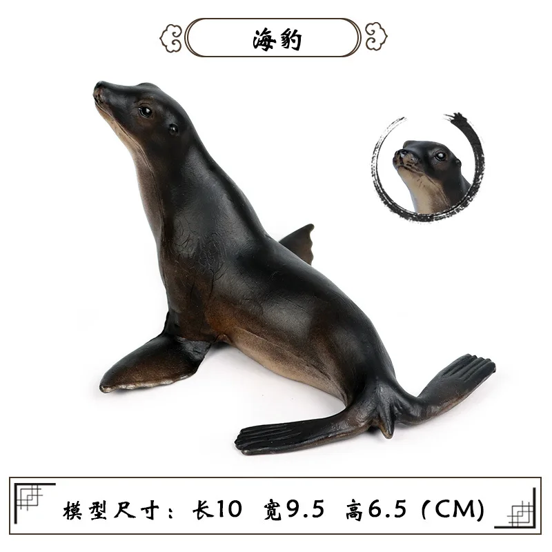 10550244529_1464955482