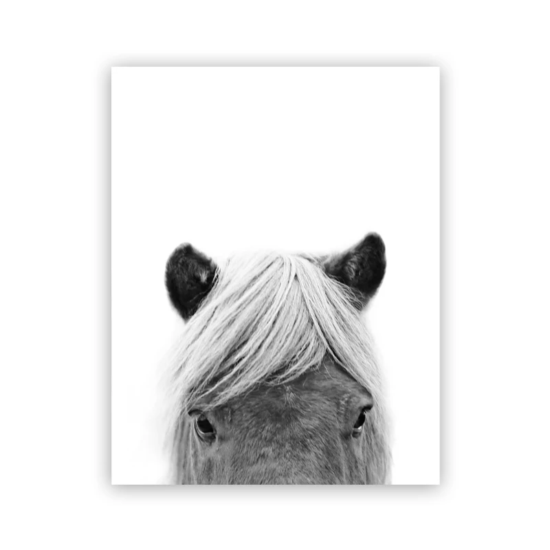 Black-and-White-Icelandic-Horse-Posters-and-Prints-Farmhouse-Rustic-Decor-Scandinavian-Wall-Art-Canvas-Painting (4)