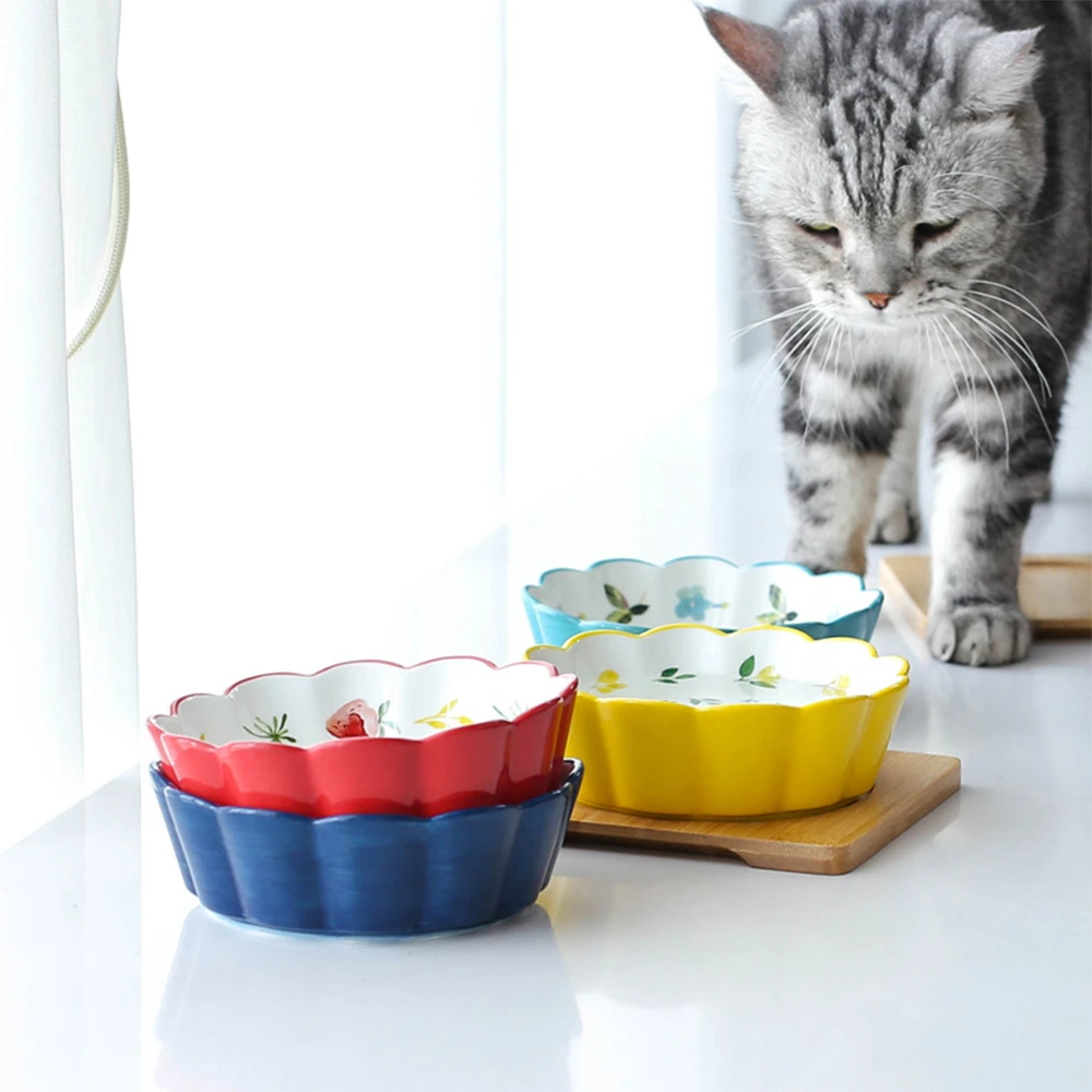non spill cat bowl