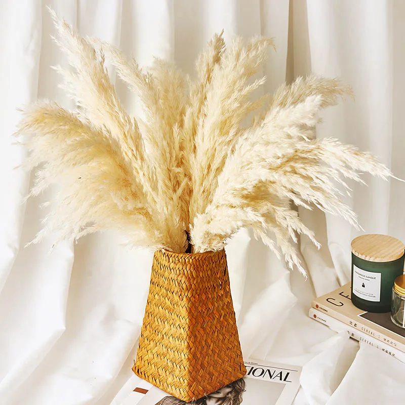 

Dried pampas grass decor plants natural wedding flowers bunch natural dried flowers with Plastic vase