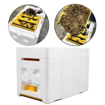 

1pc Bee Hive Beekeeping King Box Pollination Box Foam Frames Beekeeping Tool Kit for Farm Garden Beeworking Pollination
