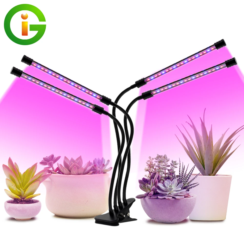 grow lights sold near me