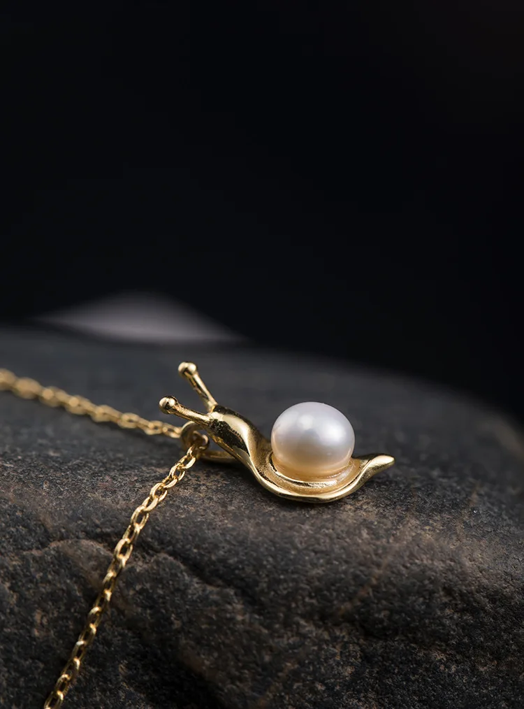 23062887751_896826829