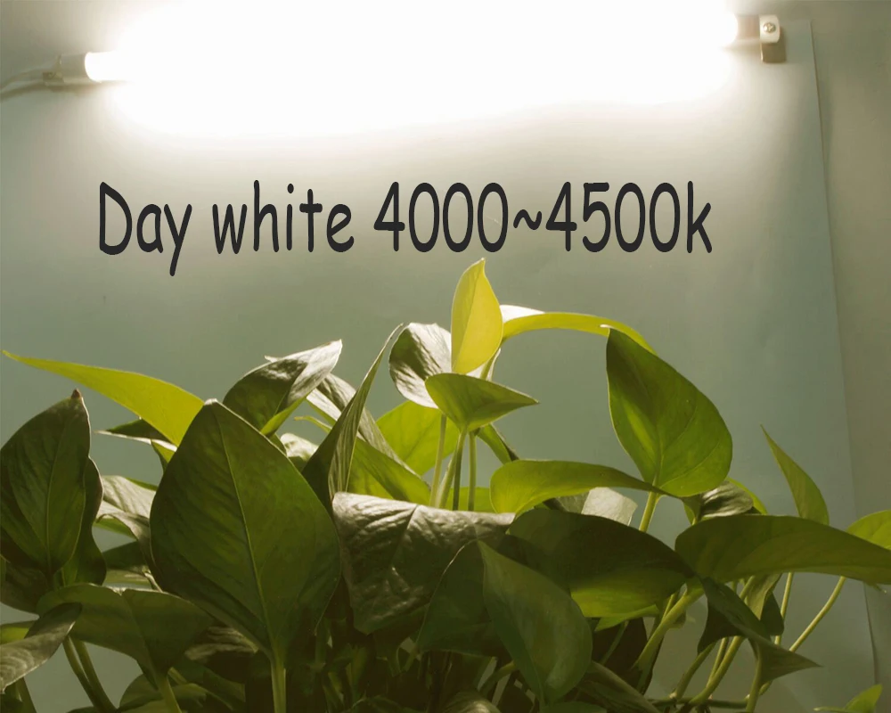 QQ图片20181121105344