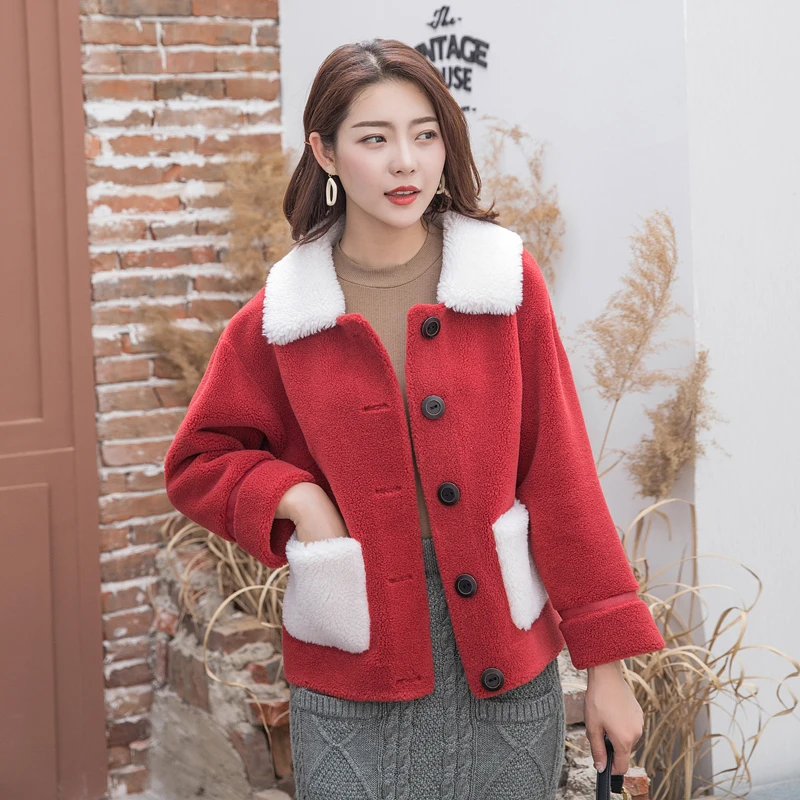 aliexpress sheep cardigan