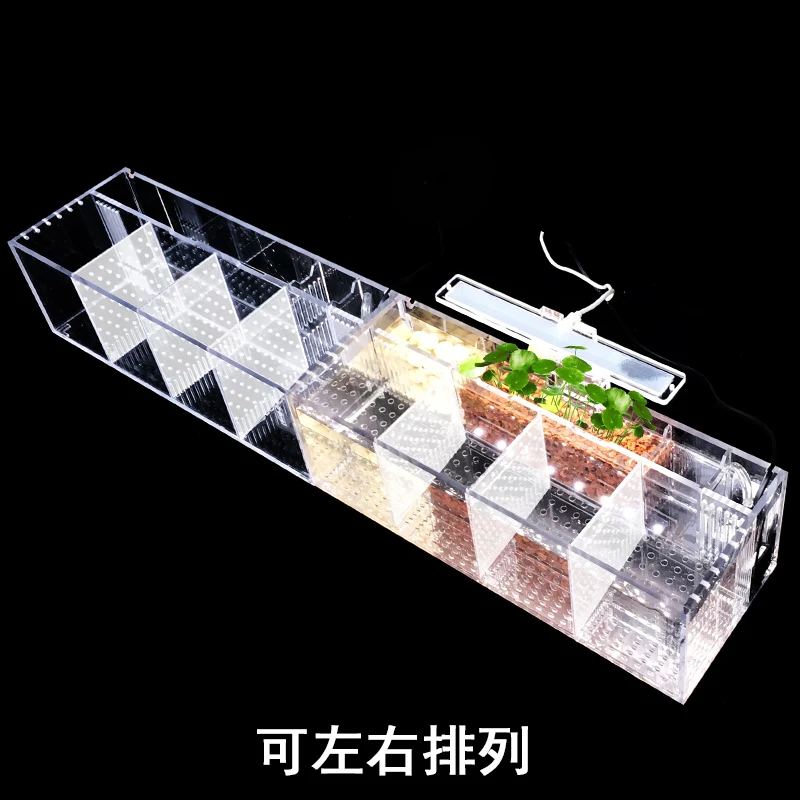 220V Creative Betta Fish Tank Breeding Incubator Isolation Box Water-free Desktop Small Acrylic Ecological Aquarium Tank fish aquarium,fish breeding box