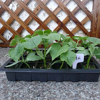 

24 Cell Plastic Seedling Trays Seed Starter Plant Grow Nursery Box Propagation Germination Box for Gardening Grow Starting