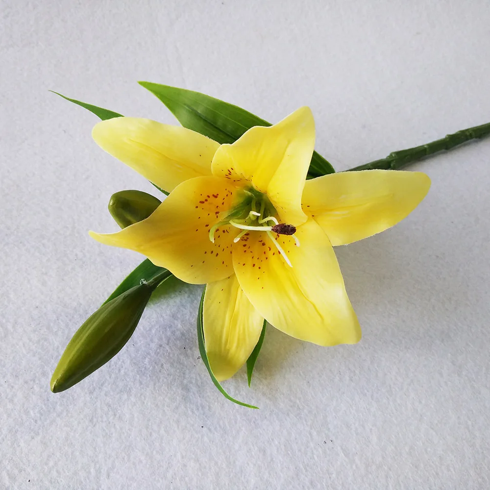 29-3802974431_831230203