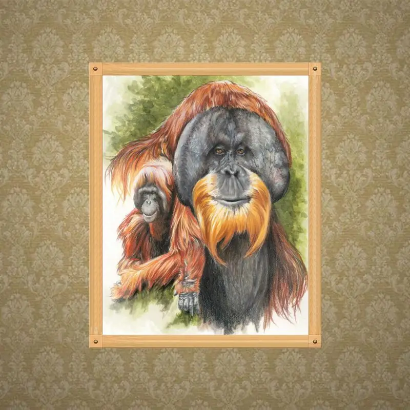 

Orangutan 5D DIY Full Drill Diamond Painting Embroidery Rhinestones Cross Stitch Kit Home Decor Handcrafts Q6PE