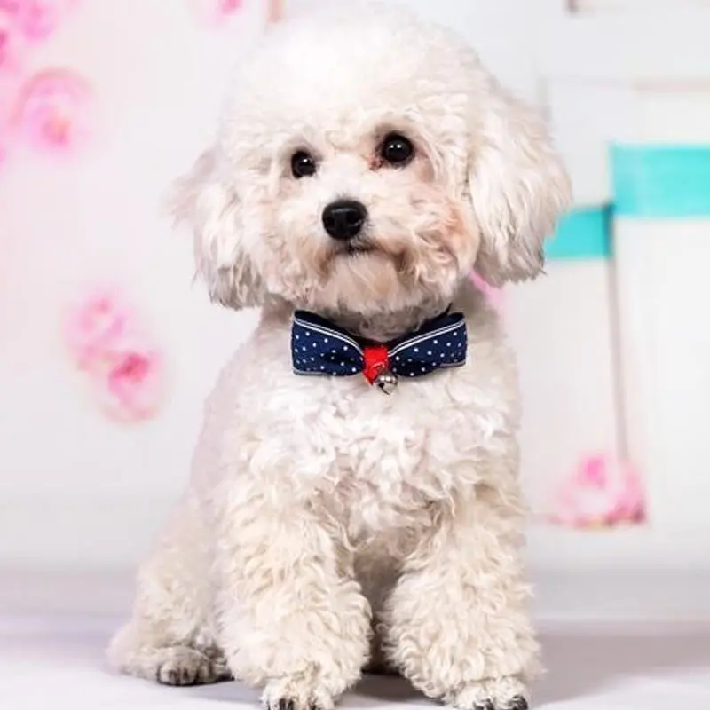 

Newest Cat Dog Collar Tie With Bell Adjustable Necktie Puppy Kitten Bowtie Pet Supplies