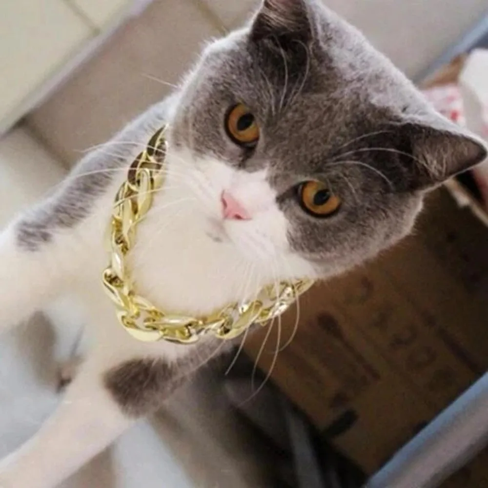 NGH91226102_0430505871519739396