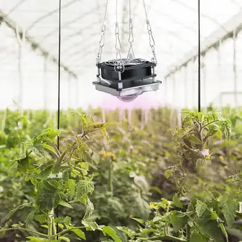 

Grow Lamp 120W LED Grow Light Full Spectrum Greenhouse Vegetables Fruits Plants Lamp Vegetable