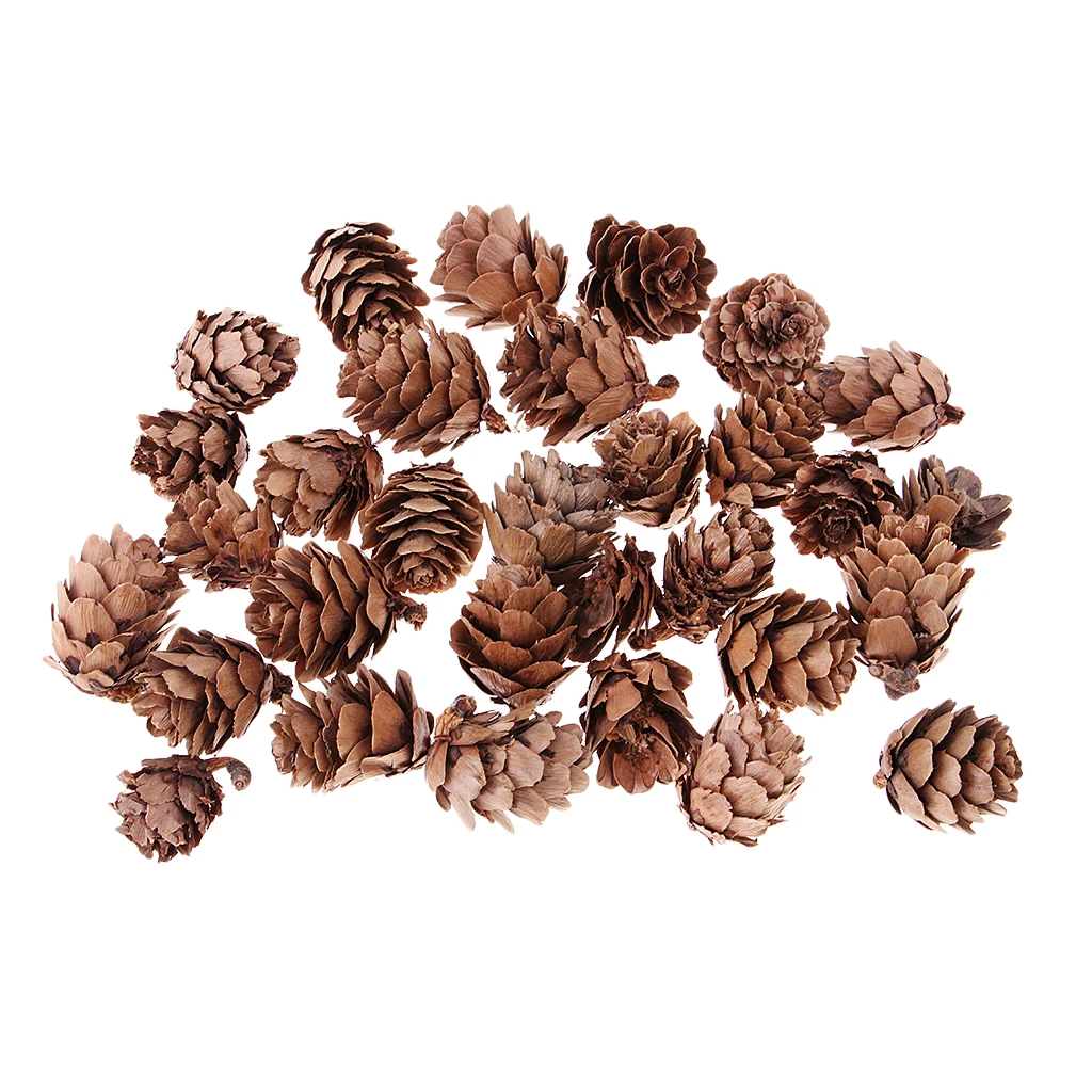 30 Pcs Mini Natural Dried Pine Cones In Bulk For Accents Ornament Christmas