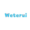 Weterui insole Store