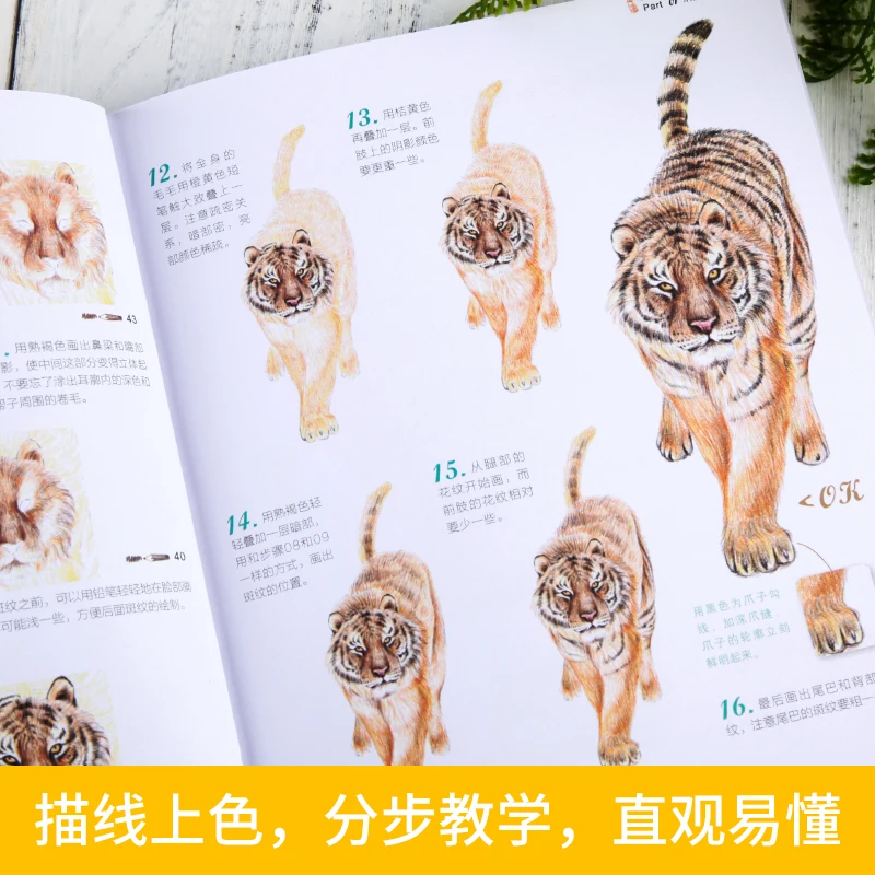 38 видов милых цветных карандашей в виде животных составление карты нуля обучение