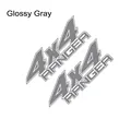 Glossy Gray