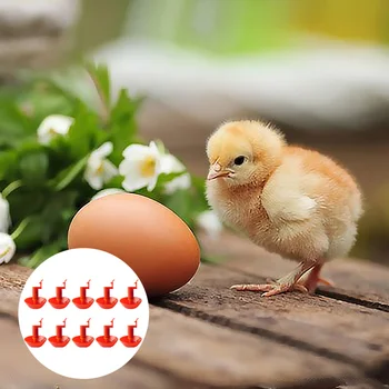 

10Pcs Automatic Drinking Water Bowl Poultry Drinker for Farm Red