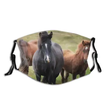 

Dust Mask with 2 PCS Filter, Horse Mouth Face Mask for Adult Kids Anti Washable Reusable Pollution