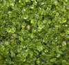 100 Cts Natural Olive Green Peridot Rough loose Gemstone lot 2