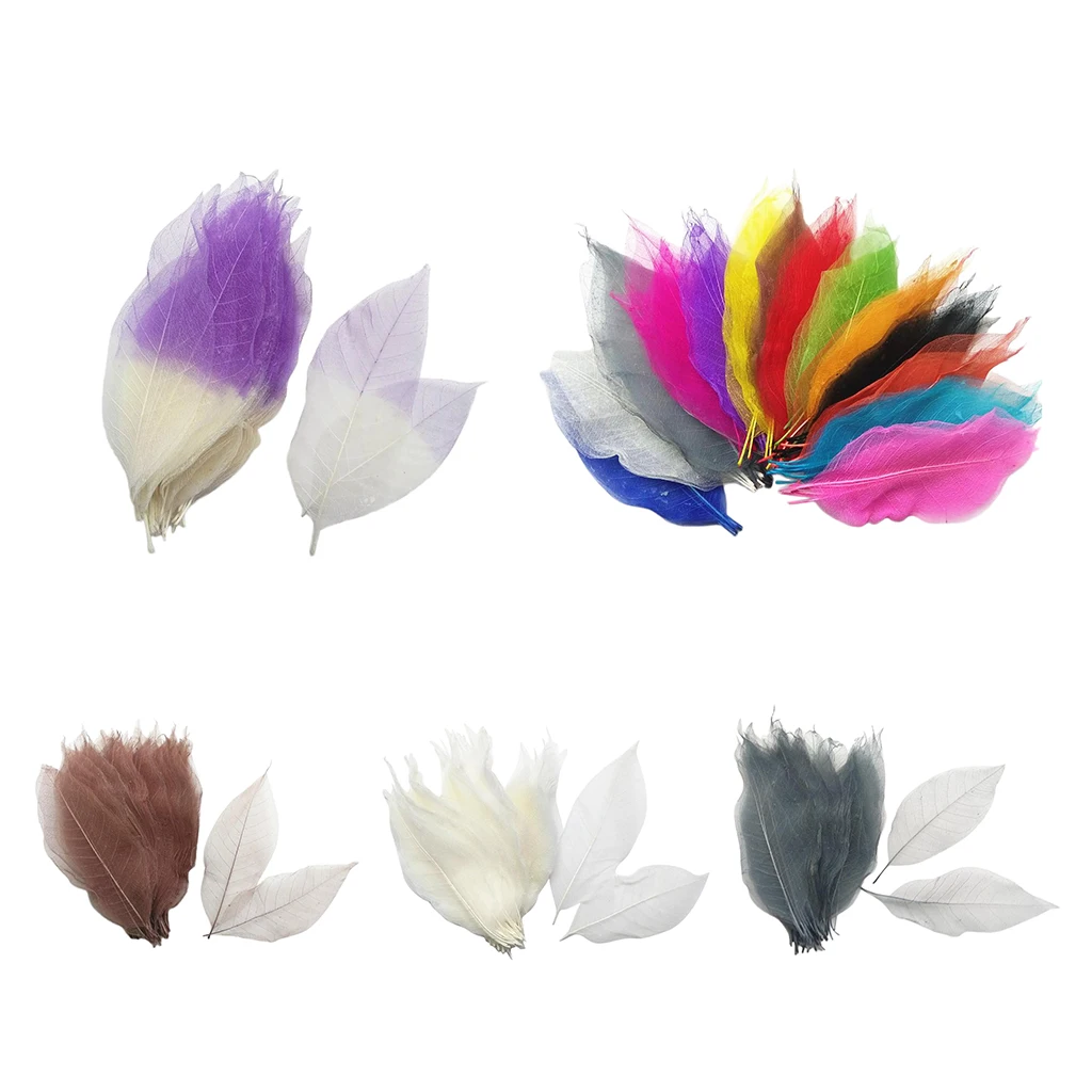 100 Pieces Colorful Magnolia Dried Skeleton Leaf Leaves Scrapbooking Embellishment for Jewelry Making DIY Necklace Earrings