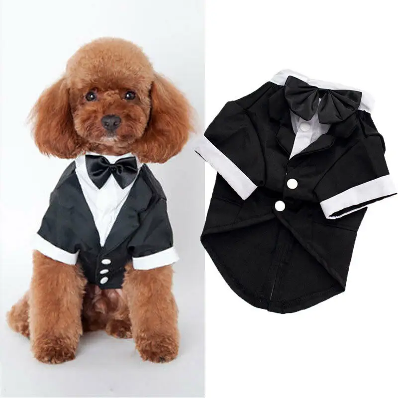 Buy Wholesale China Pet Clothes For Small Dogs Soft Puppy Jumpsuit Striped  Letters Dog Pajamas Chihuahua Pug & Pet Clothes For Small Dogs at USD 2.2