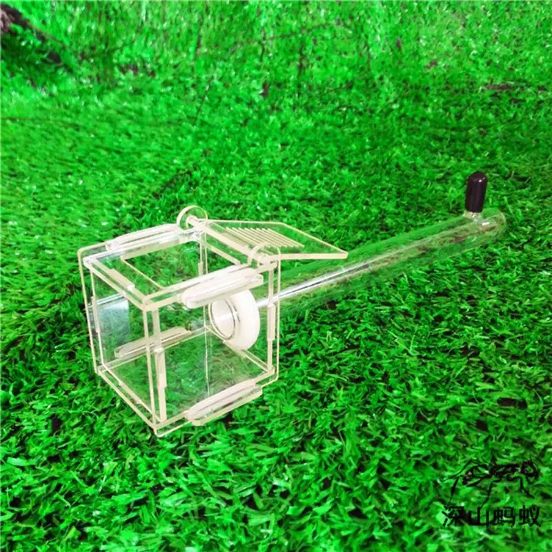 Ant Nest Glass Tube Mini Insect House Acrylic Farm with Active Zone