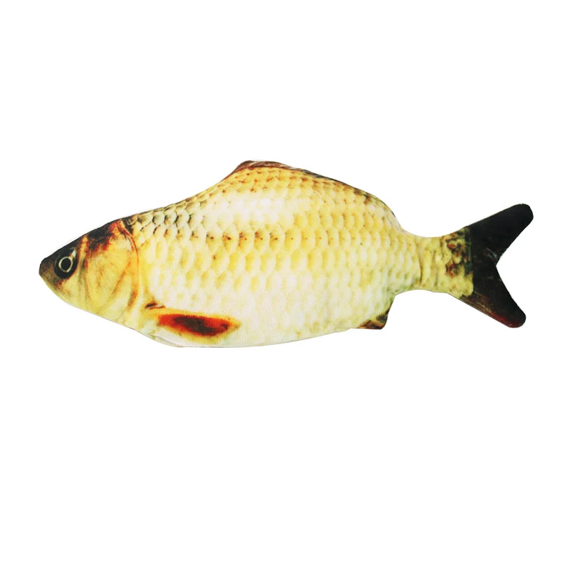 Grass Carp
