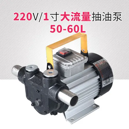 Насос 12V 24V 220V большой поток DC дизельный насос Электрический насосная установка - Цвет: 1