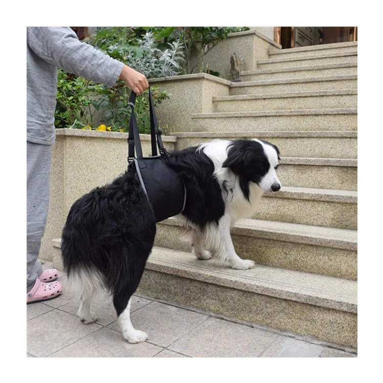  Outdoor Large Dogs Traction Belt Mention Dog Traction Rope Reflective Strips Mobility Aids with Dog
