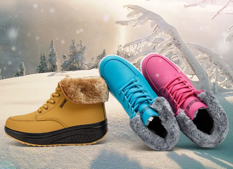 11569550743_661546604