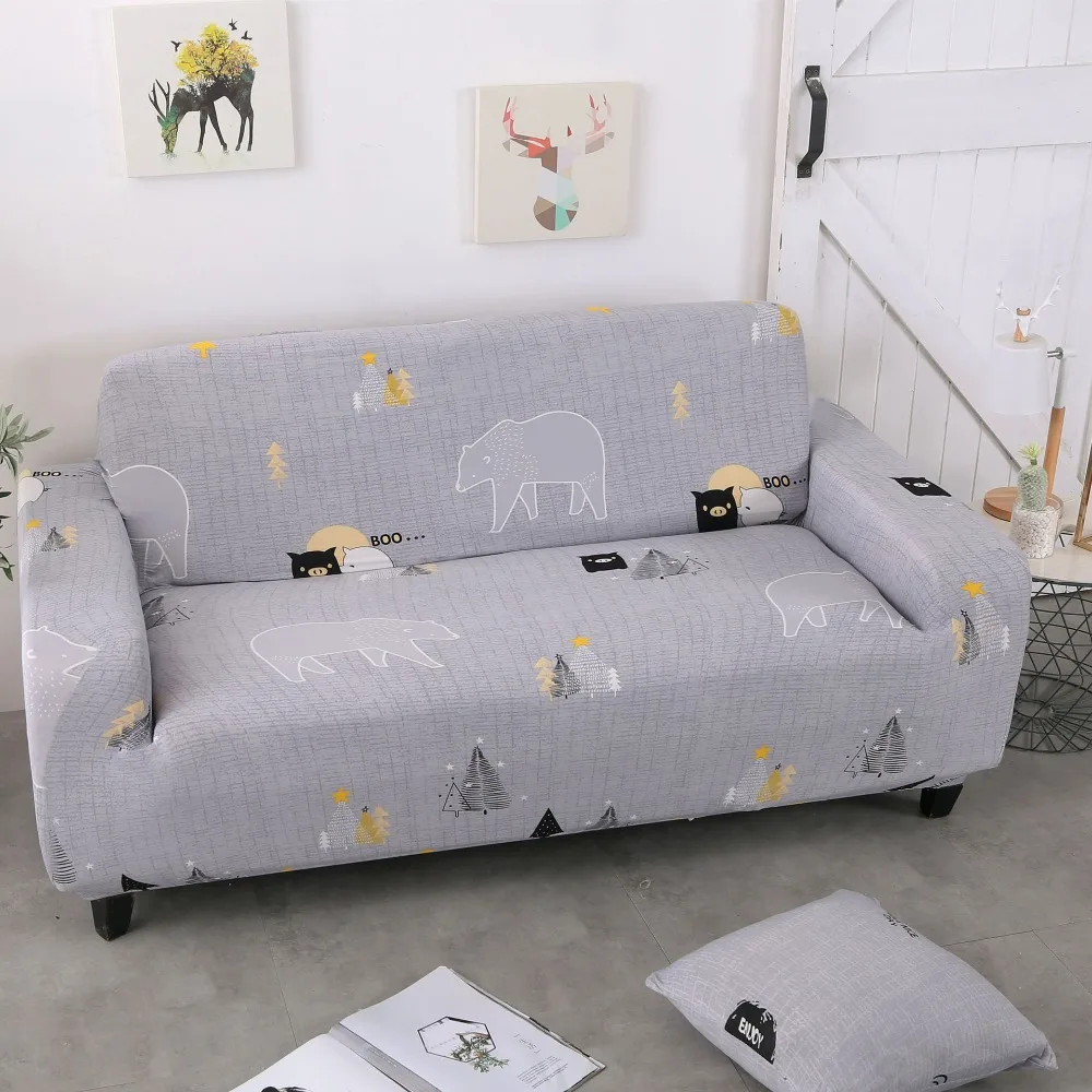 12379751883_1973151833