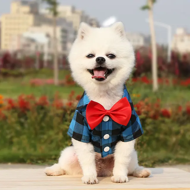 Pet Clothes Dogs Plaid Striped Shirt Suit Wedding Dress Puppy Coat Teddy Bear Pomeranian Vest Small-Medium Dog Cat Pet Costume 4